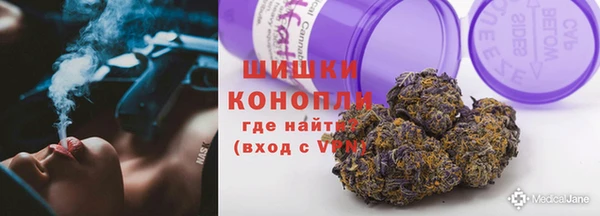 дмт Мегион