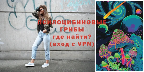 спайс Медвежьегорск