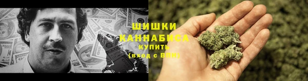 дмт Мегион