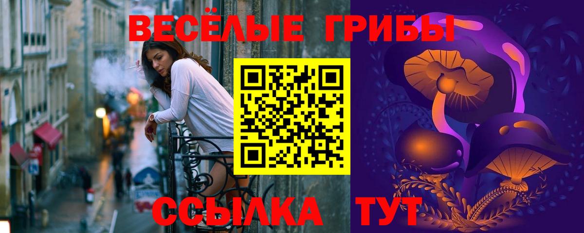 Галлюциногенные грибы Psilocybine cubensis Узловая
