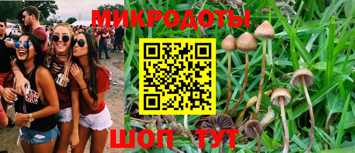Псилоцибиновые грибы Cubensis  Вход с VPN  Узловая 